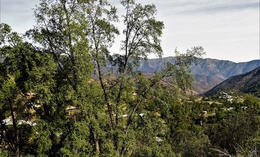Agrícola en Venta en La Isla - La Vega, Cuesta La Dormida - Olmué