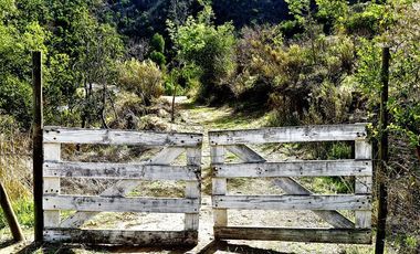 Agrícola en Venta en La Isla - La Vega, Cuesta La Dormida - Olmué