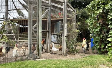 Casa en Venta en Camino Troncal / Los Cardos / Jardín botánico