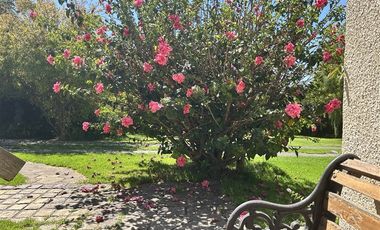 Parcela en Venta en Camino Troncal / Los Cardos / Jardín botánico