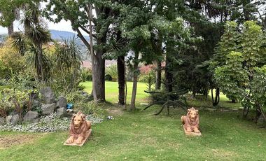 Parcela en Venta en Camino Troncal / Los Cardos / Jardín botánico