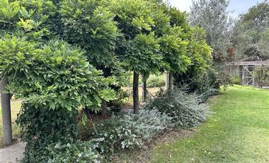 Parcela en Venta en Camino Troncal / Los Cardos / Jardín botánico
