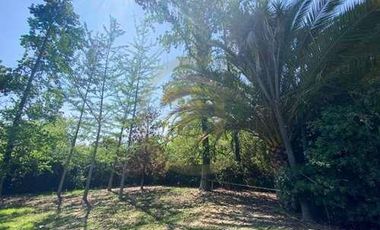 ARRIENDO AMPLIA CASA EN LOS DOMINICOS