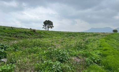 Terreno en Venta en Cañada de Cisneros, Tepotzotlán