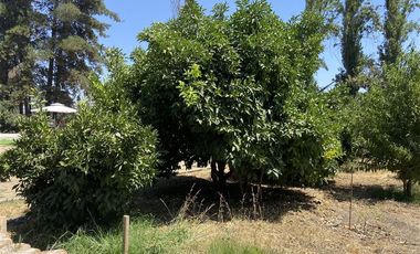 Parcela en Venta en Camino palo alto 7