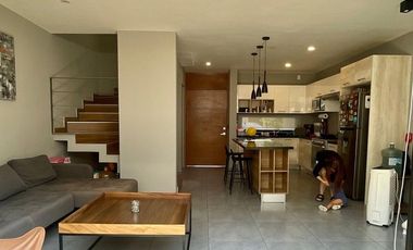 Venta en Zenith, el Fortin