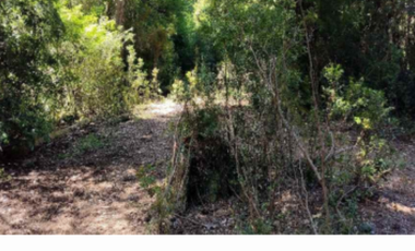 Sitio en Venta en Namoncahue