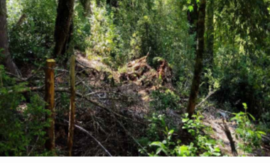 Sitio en Venta en Namoncahue