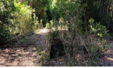 Sitio en Venta en Namoncahue