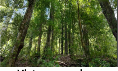 Agrícola en Venta en Namoncahue