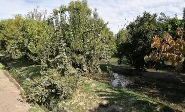 Casa en Arriendo en COPEQUEN