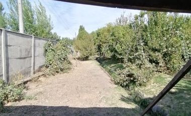 Casa en Arriendo en COPEQUEN