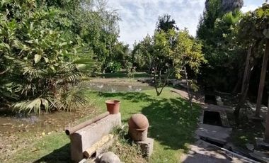 Casa en Arriendo en COPEQUEN