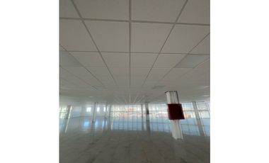 Oficinas de lujo en Renta en Zona Plateada, Torres de Plata