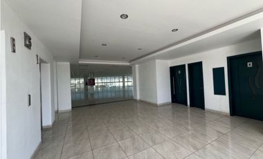 Oficinas de lujo en Renta en Zona Plateada, Torres de Plata