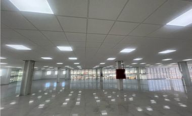 Oficinas de lujo en Renta en Zona Plateada, Torres de Plata