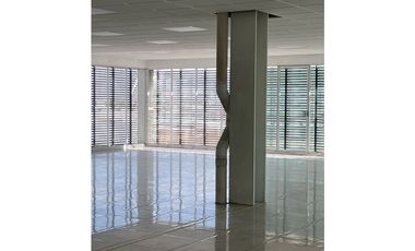 Oficinas de lujo en Renta en Zona Plateada, Torres de Plata
