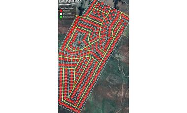 Venta Terreno en San Javier: 5000 m²