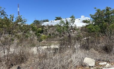 3 Terrenos en venta Campeche Hills