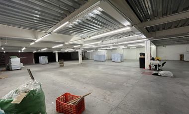 Bodega en Renta Modelo Pensil Lago Ladoga