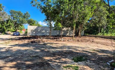 REMATO TERRENO COMERCIAL AV. LUNA CASI HUAYACAN, 1,000 MTS