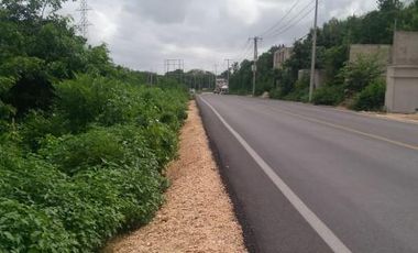 REMATO TERRENO COMERCIAL AV. LUNA CASI HUAYACAN, 1,000 MTS