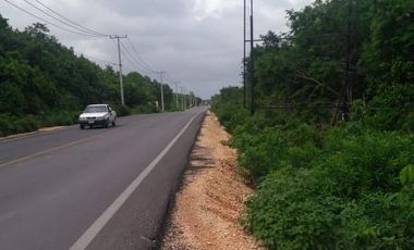 REMATO TERRENO COMERCIAL AV. LUNA CASI HUAYACAN, 1,000 MTS
