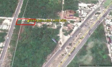 REMATO TERRENO COMERCIAL AV. LUNA CASI HUAYACAN, 1,000 MTS