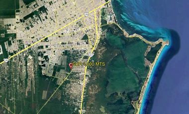 REMATO TERRENO COMERCIAL AV. LUNA CASI HUAYACAN, 1,000 MTS