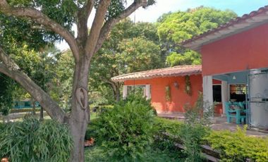 Venta finca Sopetrán Antioquia Colombia