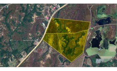 Se Vende Finca de 100 Hectáreas en Penonomé, sobre Via Panamericana