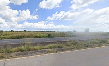 Se Vende Finca de 100 Hectáreas en Penonomé, sobre Via Panamericana