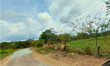 VENDO FINCA EN CIUDAD BOLVAR (9)