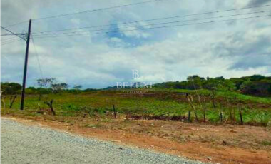 VENDO FINCA EN CIUDAD BOLVAR (9)