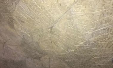 Casa en Condominio en Valle de Atongo Tepoztlán - CAEN-1036-Cd