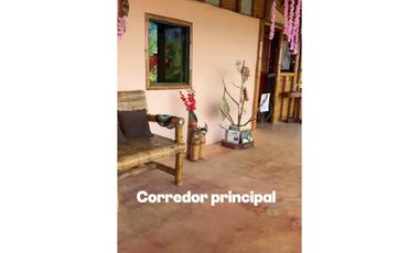 FINCA EN FILANDIA