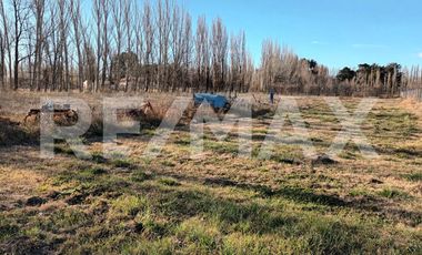 ALQUILER DE TERRENO CON FRENTE RUTA 7