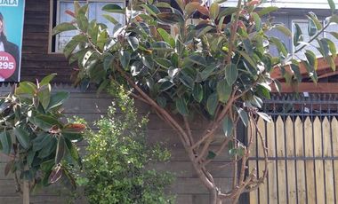 Casa en Venta en Avda. Santa Rosa, Bahía Catalina, San José de la Estrella, La Granja, RM