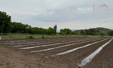 Agrícola en Arriendo en Callejón la Gloria