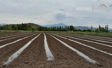 Agrícola en Arriendo en Callejón la Gloria