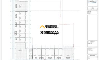 STRIP CENTER LOCAL COMERCIAL 176,08M2 PISO 2