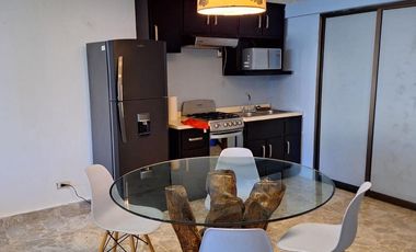 Departamento Amueblado en Renta Sur – Contry