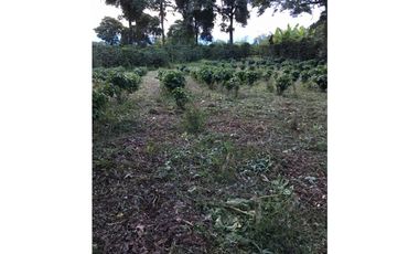 SE VENDE LOTE EN ARAVIA A 5 MINUTOS DE VIA PRINCIPAL