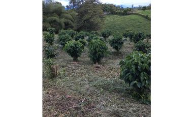 SE VENDE LOTE EN ARAVIA A 5 MINUTOS DE VIA PRINCIPAL