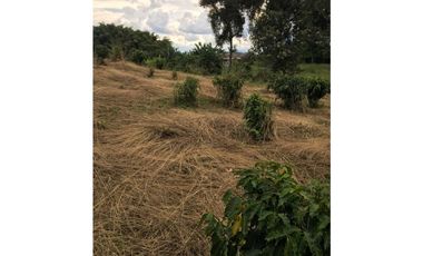 SE VENDE LOTE EN ARAVIA A 5 MINUTOS DE VIA PRINCIPAL