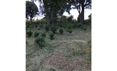 SE VENDE LOTE EN ARAVIA A 5 MINUTOS DE VIA PRINCIPAL