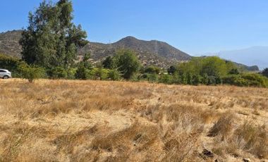 Parcela El Molino La Punta de Codegua