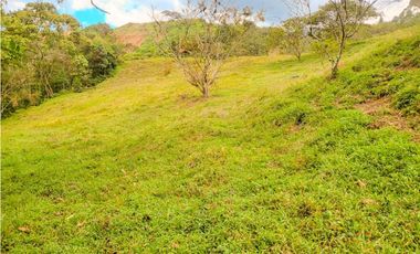 lote en caldas sector primavera la tolva