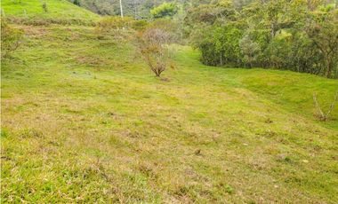 lote en caldas sector primavera la tolva
