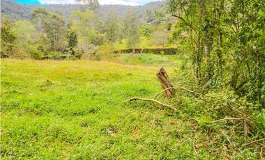 lote en caldas sector primavera la tolva